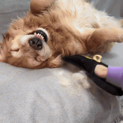 FurLift™- 2-in-1 Pet Hair Removal & Grooming